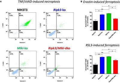 Combined Knockout of RIPK3 and MLKL Reveals Unexpected Outcome in Tissue Injury and Inflammation